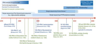 Meta-Ribosomalomics: RNA Sequencing Is an Unbiased Method for Parasite Detection of Different Sample Types